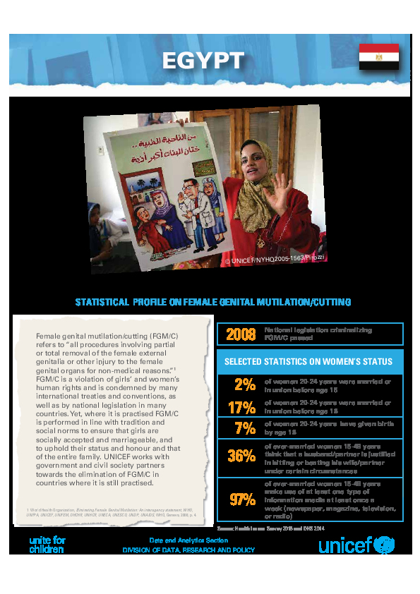UNICEF Profile: FGM in Egypt (2016)